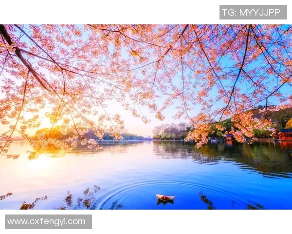 春晓苏堤映姚明身影琴声悠扬伴湖水轻波