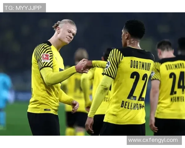 欧联杯精彩对决多特蒙德绝杀那不勒斯全场沸腾数据分析一览